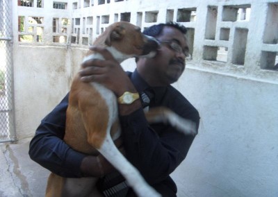 Krishnen gets a big thank you from one of the dogs